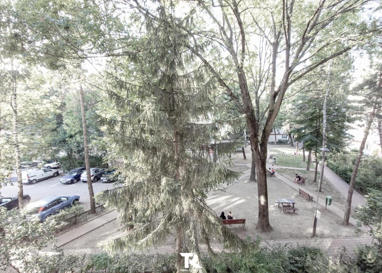 Appartamento Terra Suceava Esterno foto
